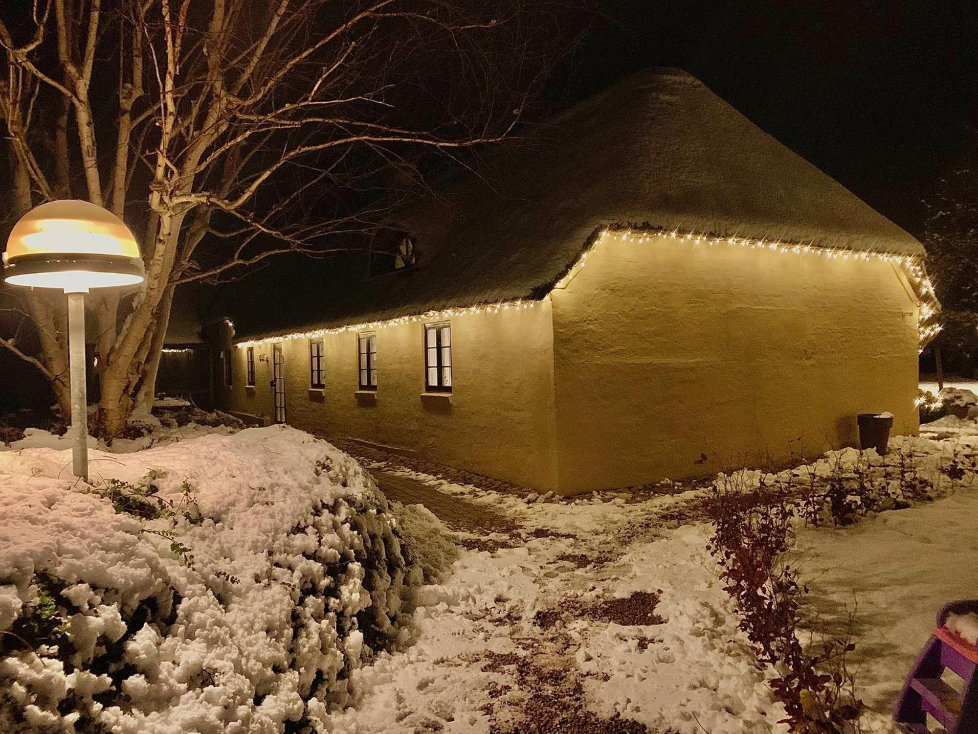 Ferienwohnung Mindedalen - Idyl Taet Pa Alt Og Helt I Fred Billum Exterior foto